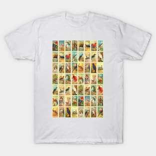 JUNGLE-BIRDS T-Shirt